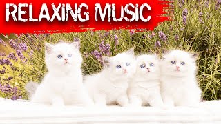 Relaxing Music Calm Cats Stress Relief Music, Meditation Music