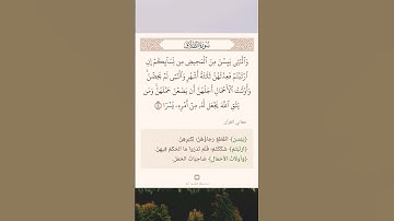 سورة الطلاق أية (٤) #نرتقي_بالتعلم