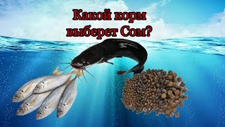:     ?    ?