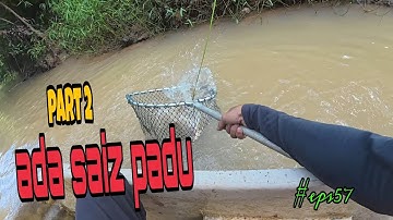 Tahan tajur ikan baung / habis jual hasil malam hasil pagi / part 2 (#eps57)