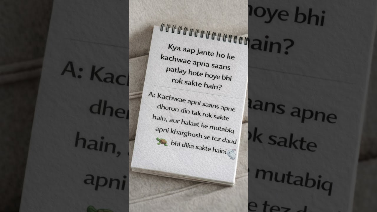 Turtles Can Hold Their Breath THIS Long 