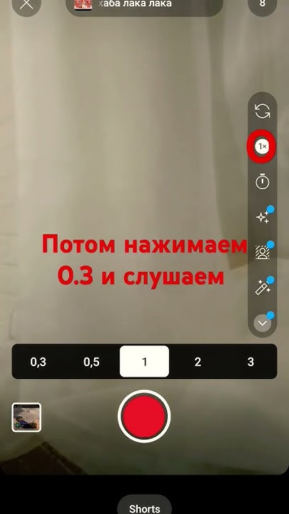 тутор - YouTube