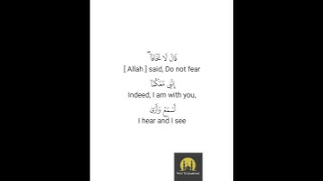 سورة طه #القرآن_الكريم #استغفر_الله #تلاوة_خاشعة #ايات_قرانيه_قصيره  #quran