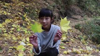 Changangkha to Buddha Point Trail
