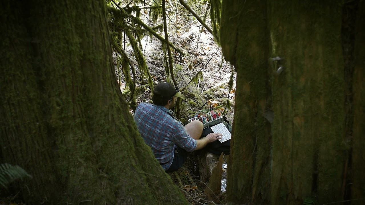 Watch Ambient music on a modular synthesize from a forest on YouTube Watch Ambient music on a modular synthesize from a forest on YouTube