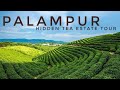Inside palampurs most iconic tea estate and resort  waah tea estate and lodge