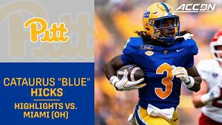 Pitt WR Cataurus Blue Hicks Highlights vs. Miami (OH)