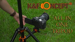 K&F CONCEPT TRIPOD (T254A8) BEST BANG FOR THE BUCK!