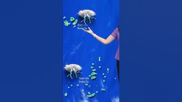 Thời tiết hôm nay 7/9: Mưa rào, dông vẫn tiếp diễn trên Biển gây gió giật, biển động