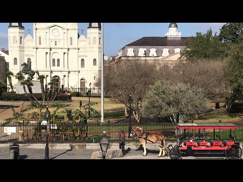 Video: Panduan Perjalanan New Orleans: 14 Cara Untuk Menemui Bandar