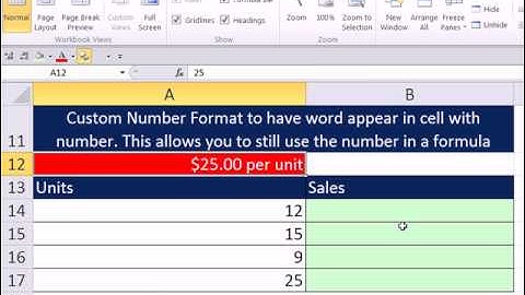 Slaying Excel Dragons Book #36: Custom Number Format & the TEXT function