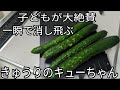1番簡単で美味しく作れるきゅうりのキューちゃん!失敗不要で誰でも安心して出来ちゃいます!