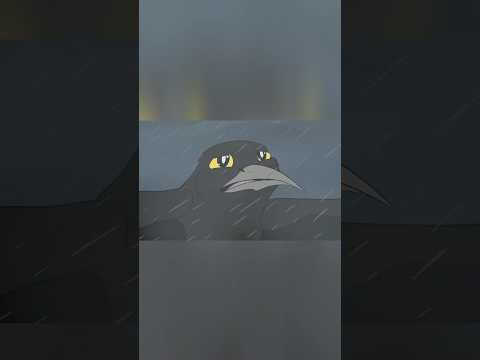 Last Kaua'i'o'o Bird