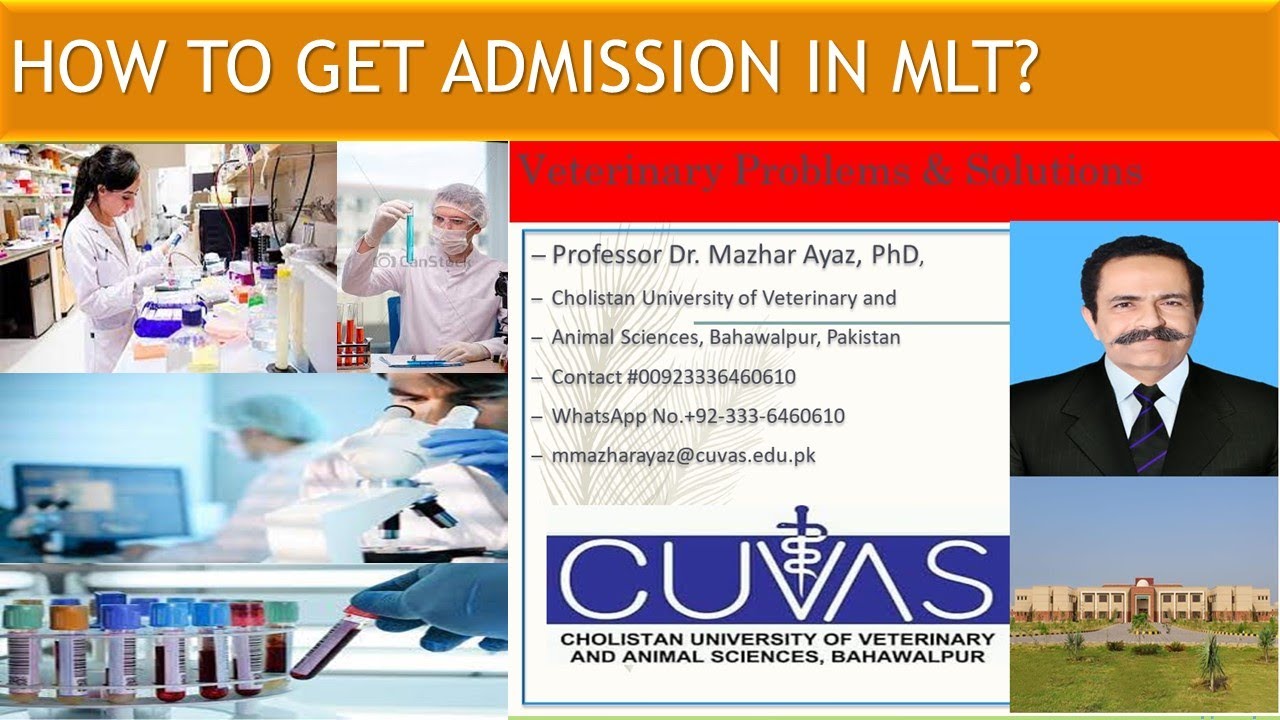 MLT (Medical Laboratory Technology), Admission Guide