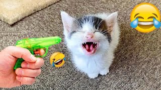 YOU LAUGH YOU LOSE😍Best Funny Animals Video 2024😹🐶Part 14