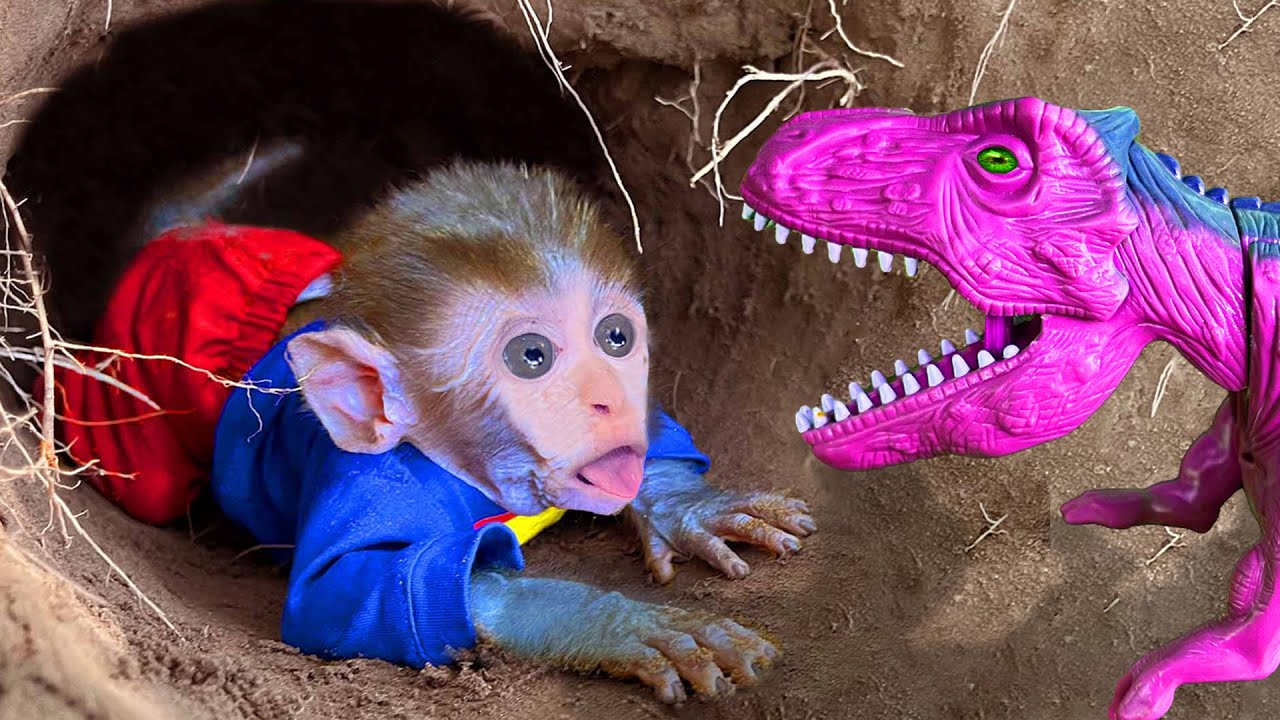 Baby Monkey, TRex Dinosaurs Tooth Brushing funny bonobo Peaceful Wild