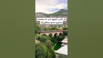 كل الذين اتجهوا الى الله باجنحة مكسورة عادوا يحلقون #القرآن #اقتباسات #quran
