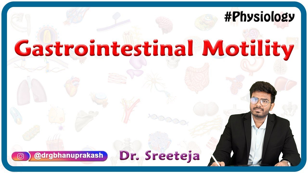 Gastrointestinal Motility : USMLE Step 1 Physiology
