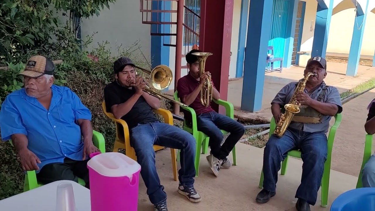 🎺🥁Muy bonita melodía🎺 toca esta banda de viento 😍🥁🎺