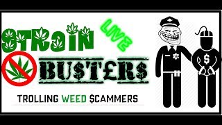 STRAIN BUSTERS LIVE - I TRY TO WASTE AS MUCH TIME FOR THE SCAMMER. LOOK HOW MUCH ABUSE THEY CAN TAKE