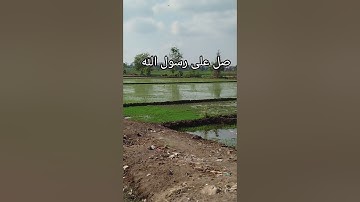 ماهر المعيقلي سوره الزلزله #المصحف #الله #quran #foryou #اكسبلور #ترند
