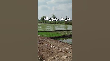 ماهر المعيقلي سوره الزلزله #المصحف #الله #quran #foryou #اكسبلور #ترند