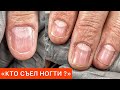 КОТ ОЗВУЧИВАЕТ ВИДЕО 😻НАРАЩИВАНИЕ НОГТЕЙ ✅