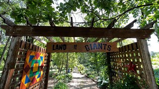 Oregon Life Land Of The Giants Hosta Farm 6-25-2023