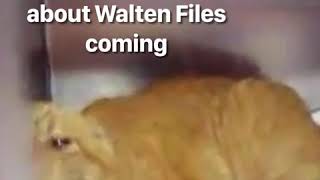 Walten Files Teaser 3