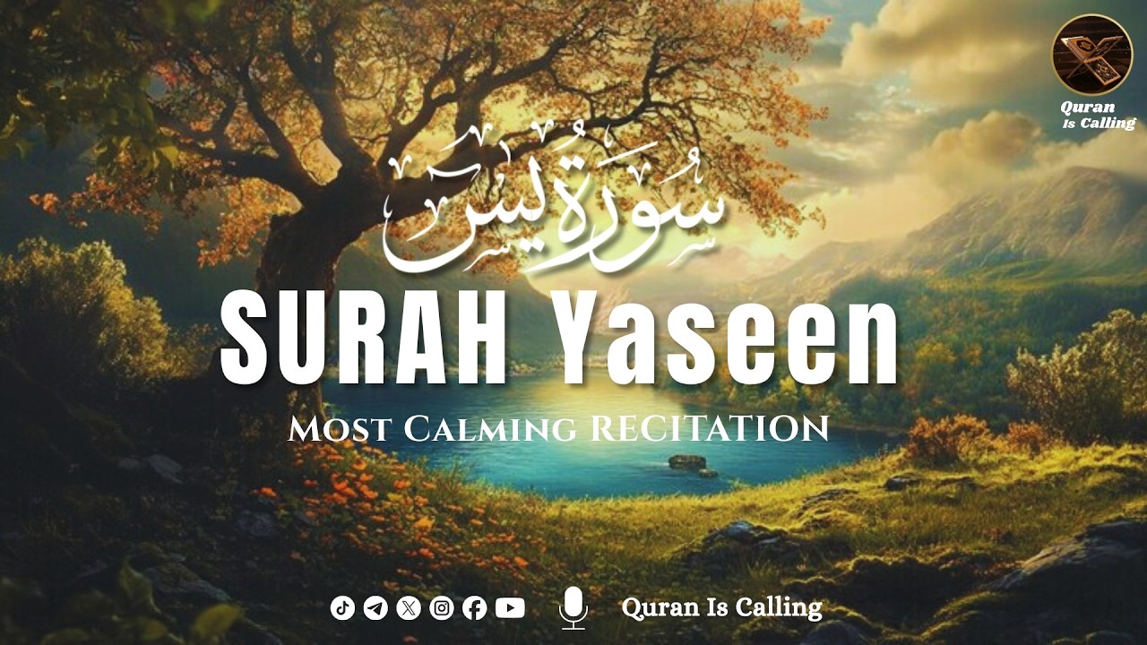 Surah Yaseen (Yasin) سورة يس | Deep Sleep Healing Heart Touching Quran Recitation