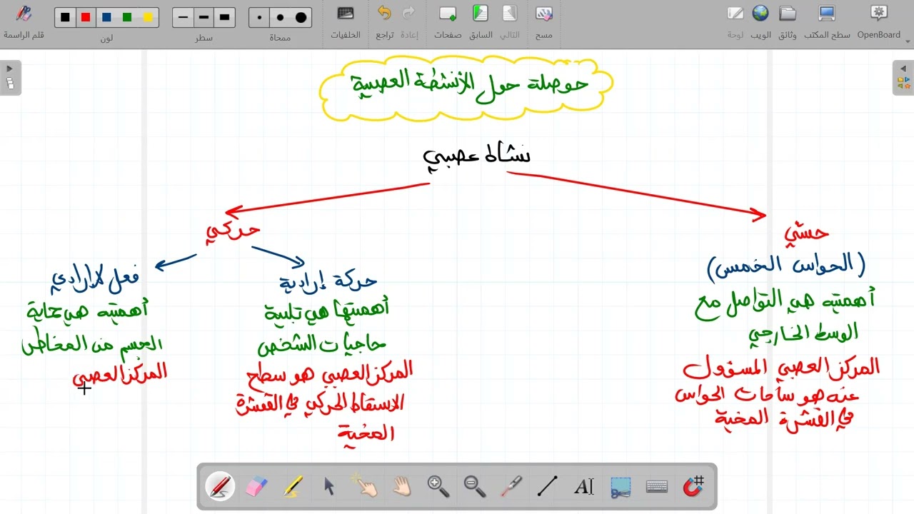 الفعل الارادي و الفعل اللاارادي و النشاط العصبي الحسي#تمارين #رابعة_متوسط #علوم_الطبيعة_و_الحياة 