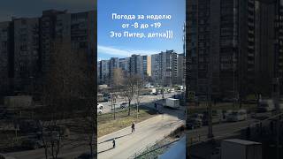 Погода в Питере❄️☀️#shorts #short #shortsvideo #russia #stpetersburgrussia #питер #погода #weather