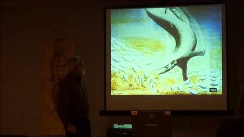 How Do You Explain Transitional Forms like Tiktaalik in The Fossil Record?