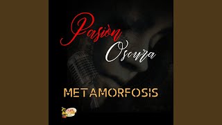 Video thumbnail of "Pasión Oscura - Buscame (feat. DJ Nesty)"