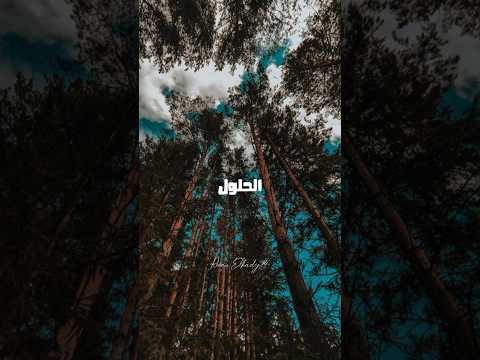 لسه بحاول تاني اقوم ميمز بدون موسيقي اغاني بدون موسيقي حالات واتس Reel بدون موسيقى حالات واتس