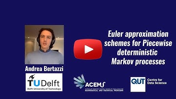 Euler approximation schemes for Piecewise deterministic Markov processes