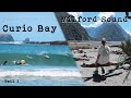 Neuseeland roadtrip  sdinsel  milford sound  surfen mit delfinen in curio bay  nz vlog teil 3
