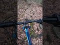 Steep tech and double drop on Wolf Ridge ✅ #mtb #mountainbike #va #drop #tech