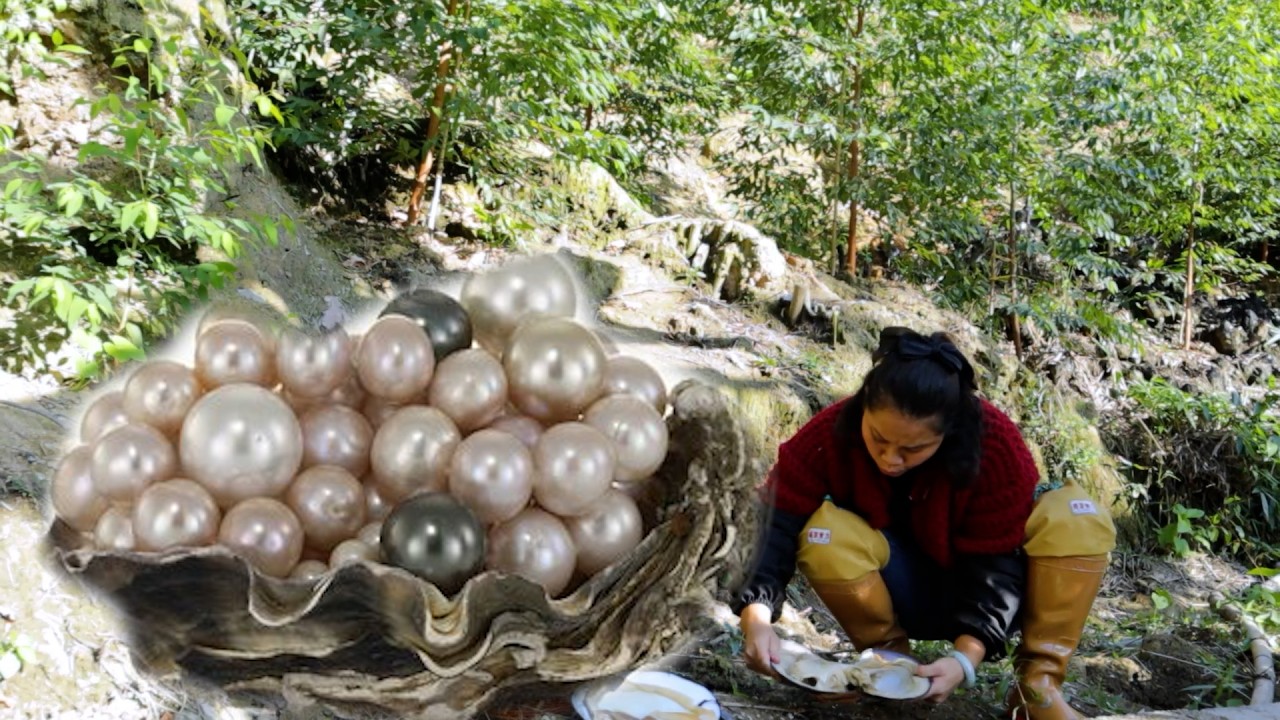 The girl collects giant clams and finds many precious pearls worth collecting