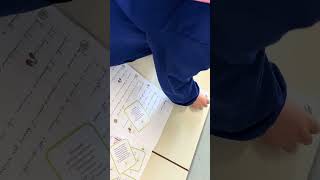 IMG 3428