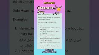 Bullshit Slang English with Examples.