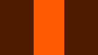0003 PANTONE Orange 021 C