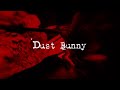 「dust bunny」Music Video / The DUST&#39;N&#39; BONEZ