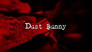 「dust bunny」Music Video / The DUST'N' BONEZ