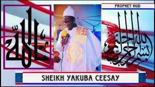 Download Lagu Sheikh Yakuba Ceesay || Prophet Hud || Send to the people of Ād || They rejected him MP3 Download Lagu Sheikh Yakuba Ceesay || Prophet Hud || Send to the people of Ād || They rejected him MP3