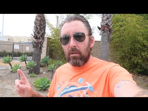 Leaving Los Angeles & Heading Home / Randy’s Donuts Regret - Flying Delta Airlines LAX To Orlando