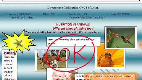 WORKSHEET- 19, CLASS- 7.SCIENCE- ENGLISH MEDIUM (4/12/2020), (FRIDAY), DOE WORKSHEET- 19, CLASS- 7