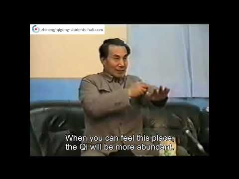 Dr. Pang Ming — Insights & Teachings