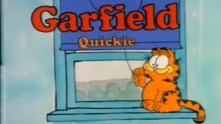Garfield Quickie S2 Blind