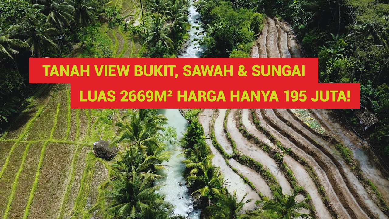(SOLD) Tanah View Bukit, Sawah & Sungai Luas 2669m² Harga 195 Juta! Dekat Tanah Milik Luna Maya